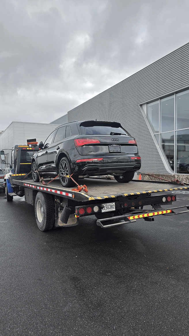 Interventions professionnelles